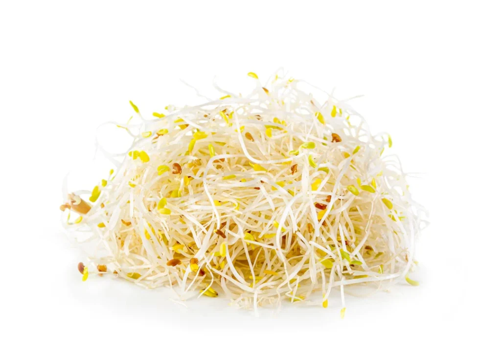 Alfalfa Sprouts vs Other Sprouts: Nutrition, Safety & How to Use Them