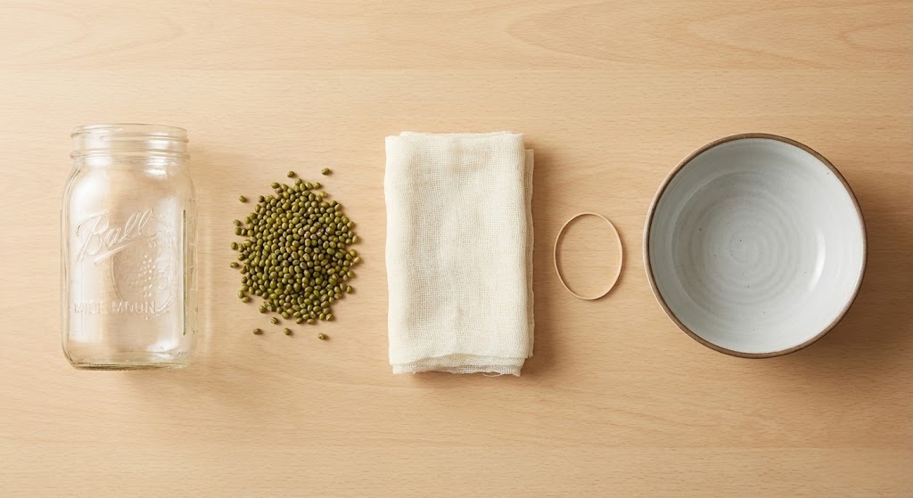 Materials needed for growing bean sprouts in a jar: seeds, mesh lid, and water