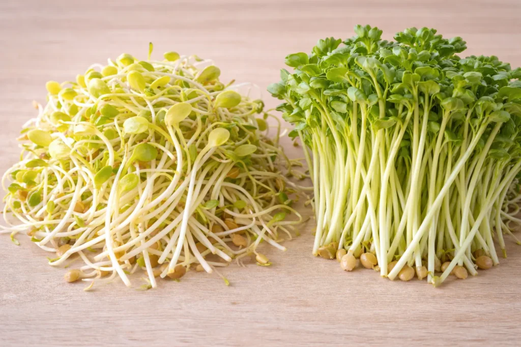 Broccoli sprouts vs. microgreens