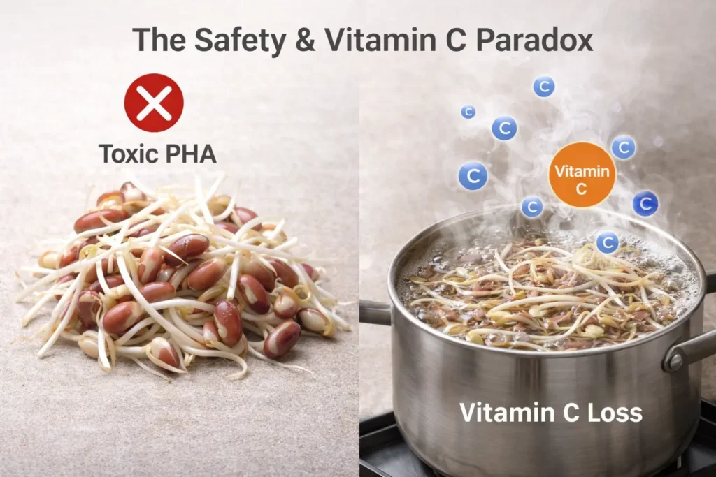 Illustration of vitamin C loss during boiling of kidney bean sprouts
