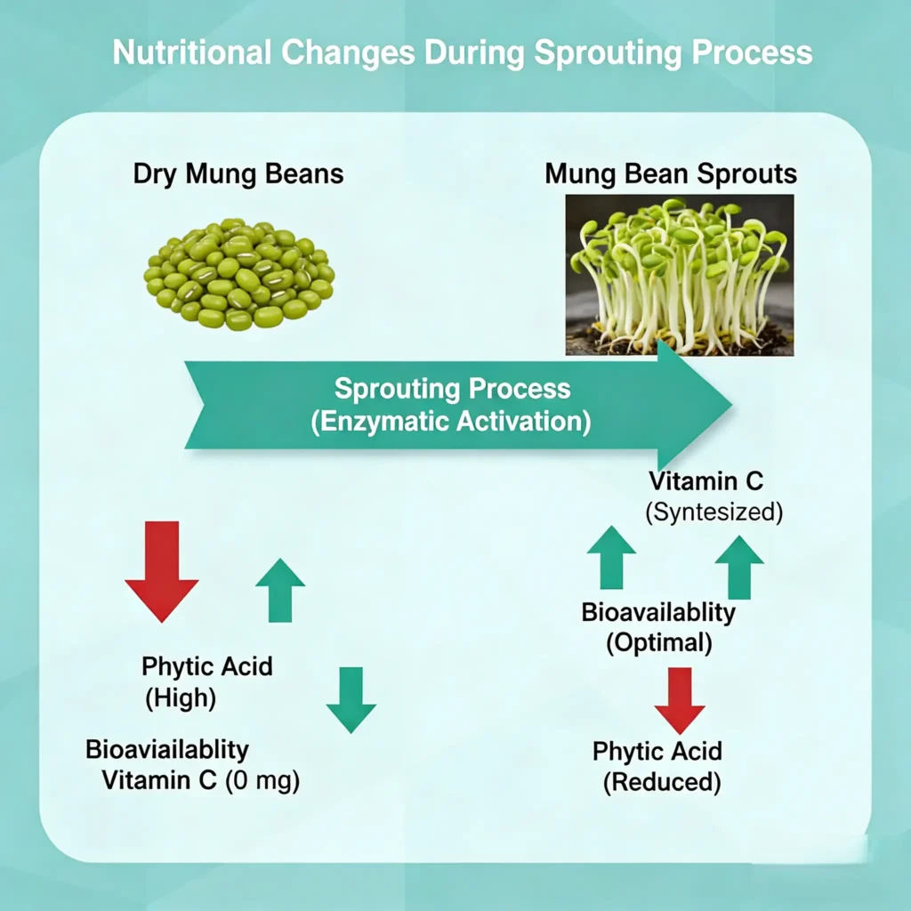 Mung nutrition infographic