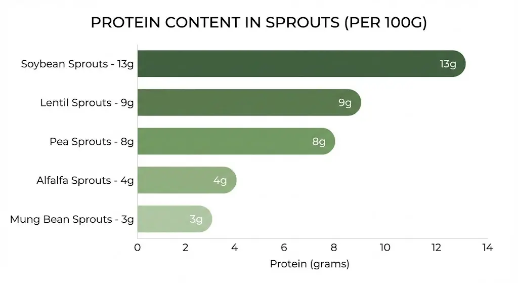 Protein content comparison of different sprouts per 100g